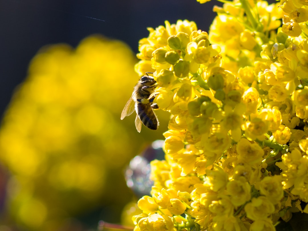 Foto von Andriy Krolyk auf Unsplash