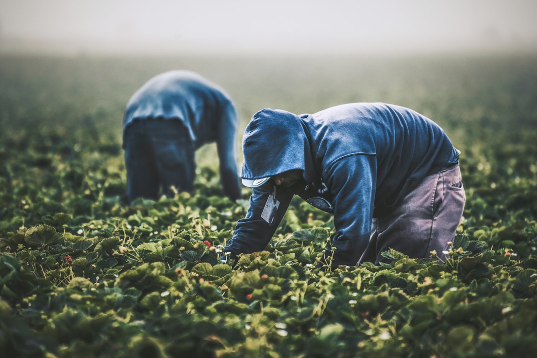 Foto von Tim Mossholder auf Unsplash
