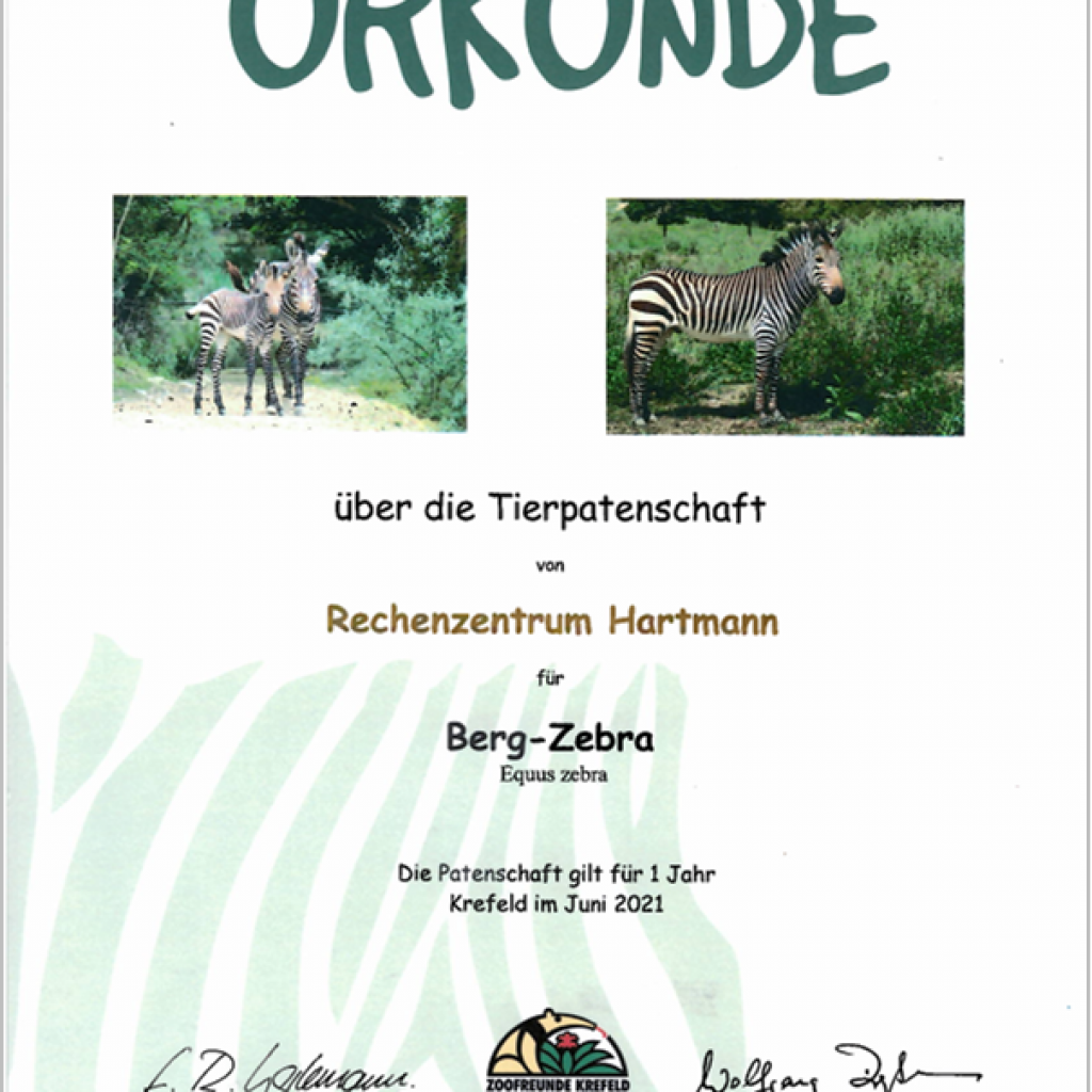 Zebra-Patenschaft Urkunde